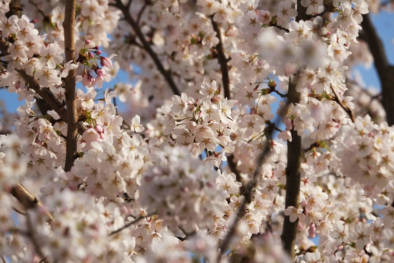 vorarlberg-walsertal-bregenzerwald-quest-oliver-lins