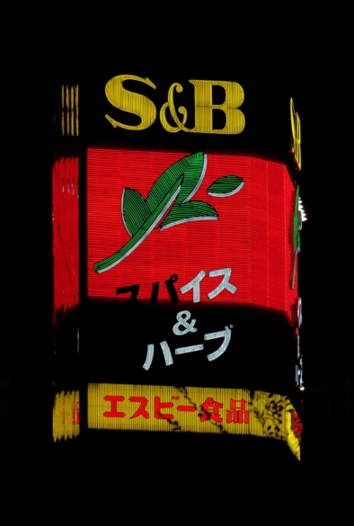 S&B Tokyo - Blade Runner - Dangerous Days - By Oliver Lins, Invading Spaces | Quest - Im Wandel der Zeit