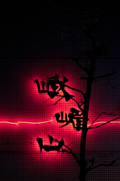 Tokyo City Lights - Blade Runner - Dangerous Days - By Oliver Lins, Invading Spaces | Quest - Im Wandel der Zeit