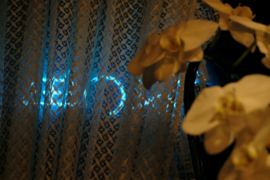 Blade Runner | Dangerous Days 02 - Man/Machine. Oliver Lins - Invading Spaces