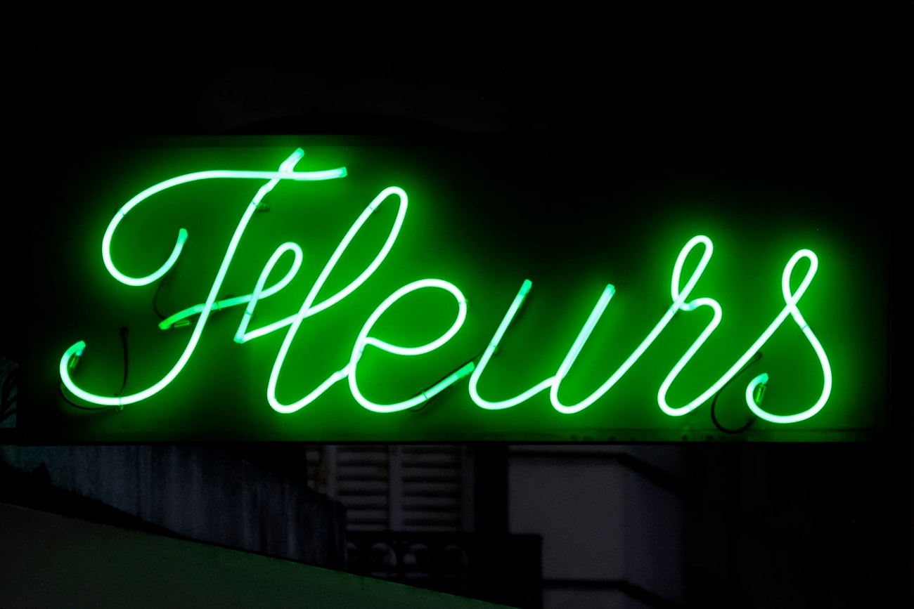 Fleurs Montparnasse - Oliver Lins, Quest - Im Wandel der Zeit