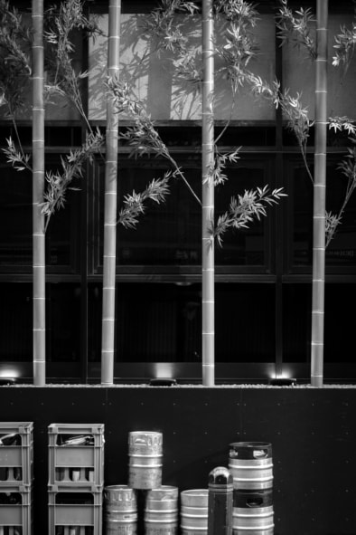 Dangerous Days 04, Oliver Lins, Invading Spaces, Tokyo Architecture Bamboo Garden