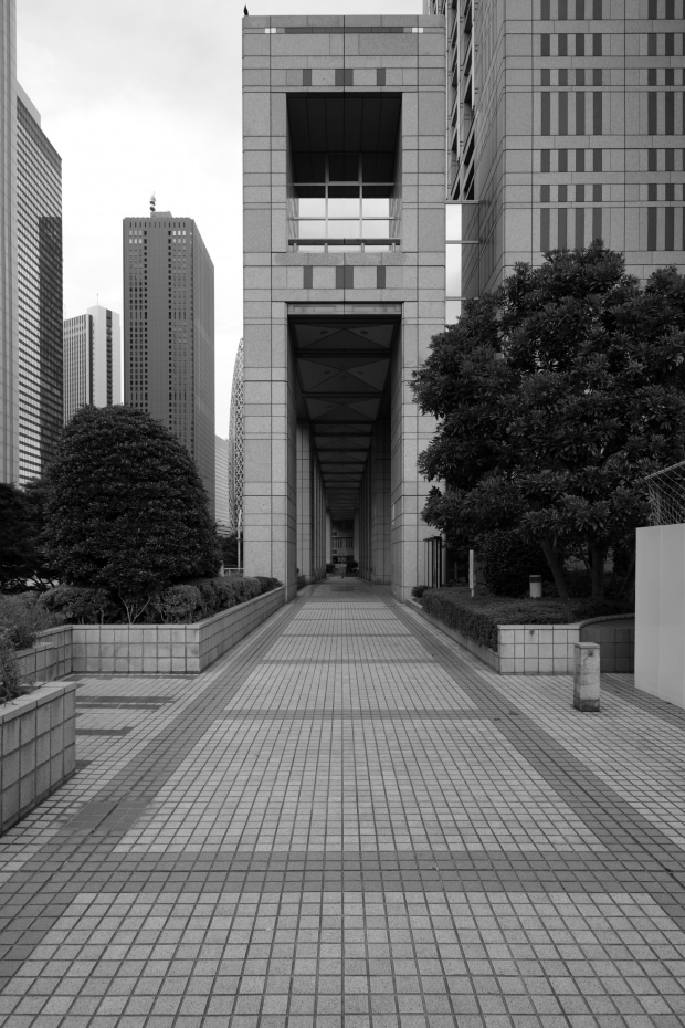 Dangerous Days 04, Oliver Lins, Invading Spaces, Tokyo Architecture Shinjuku