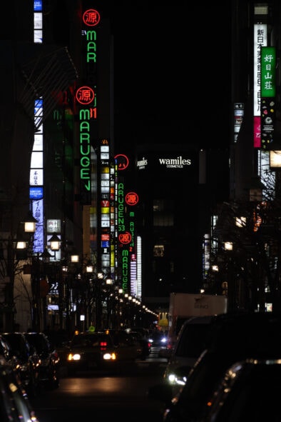 Blade Runner | Dangerous Days 05 | Oliver Lins - Japanese OOH advertising - city by night